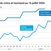 Graphique prix colza tournesol France au 16 juillet 2026