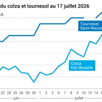 Graphique prix colza tournesol France au 17 juillet 2026