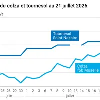 Graphique prix colza tournesol France au 21 juillet 2026