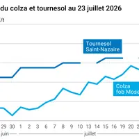 Graphique prix colza tournesol France au 23 juillet 2026