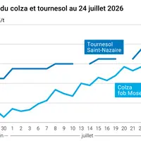 Graphique prix colza tournesol France au 24 juillet 2026