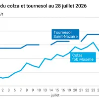 Graphique prix colza tournesol France au 28 juillet 2026