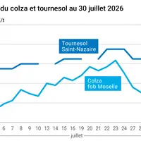 Graphique prix colza tournesol France au 30 juillet 2026