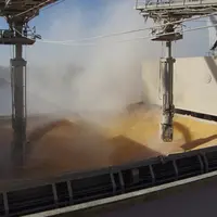 Chargement de grains dans la cale d'un navire.