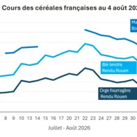 Graphique prix colza tournesol France au 4  août 2026