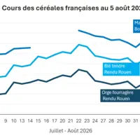 Graphique prix blé maïs orge France au 5 août 2026