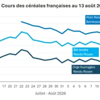 Graphique prix blé, orge et maïs France au 13 août 2026