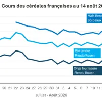 Graphique prix blé, orge et maïs France au 14 août 2026