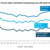 Graphique prix blé orge et maïs France au 20 août 2026