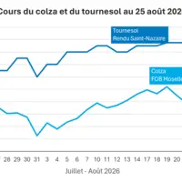 Graphique prix colza tournesol France au 25 août 2026