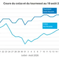Graphique prix colza tournesol France au 19 août 2026