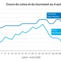 Graphique prix colza tournesol France au 4 août 2026