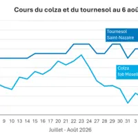 Graphique prix colza tournesol France au 6 août 2026