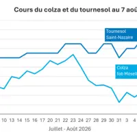 Graphique prix colza tournesol France au 7 août 2026