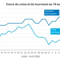 Graphique prix colza tournesol France au 10 août 2026