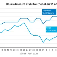 Graphique prix colza tournesol France au 11 août 2026
