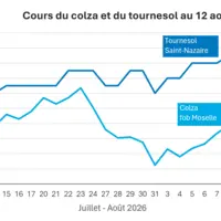 Graphique prix colza tournesol France au 12 août 2026