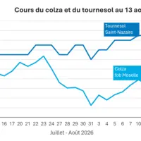 Graphique prix colza tournesol France au 13 août 2026