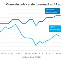 Graphique prix colza tournesol France au 14 août 2026