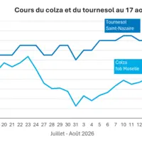 Graphique prix colza tournesol France au 17 août 2026