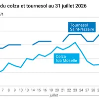 Graphique prix colza tournesol France au 31 juillet 2026