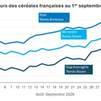 Graphique prix blé orge mais France au 1er septembre 2026
