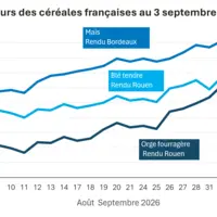 Graphique prix blé orge mais France au 3 septembre 2026