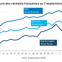 Graphique prix blé maïs orge France au 7 septembre 2026