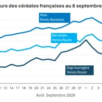 Graphique prix blé maïs orge France au 8 septembre 2026