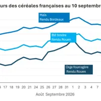 Graphique prix blé maïs orge France au 10 septembre 2026