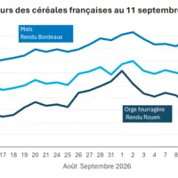 Graphique prix blé maïs orge France au 11 septembre 2026