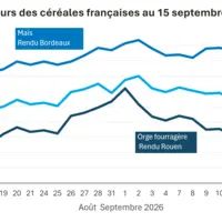 Graphique prix blé orge maïs France au 15 septembre 2026