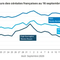 Graphique prix blé orge maïs France au 16 septembre 2026