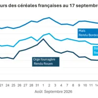 Graphique prix blé maïs orge France au 17 septembre 2026