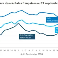 Graphique prix blé orge maïs France au 21 septembre 2026