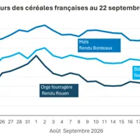 Graphique prix blé, orge et maïs France au 22 septembre 2026