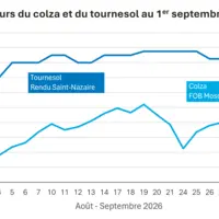 Graphique prix colza tournesol France au 1er septembre 2026