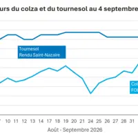 Graphique prix colza tournesol France au 4 septembre 2026