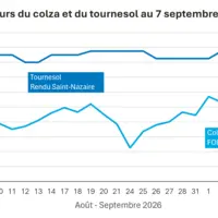 Graphique prix colza tournesol France au 7 septembre 2026