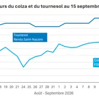 Graphique prix colza tournesol France au 14 septembre 2026