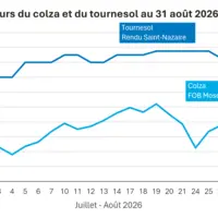 Graphique prix colza tournesol France au 31 août 2026