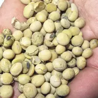 Graines de soja. L’augmentation de 
la teneur en matière grasse dans la ration, en dessous du taux maximum recommandé de 5 %, a été bien acceptée par