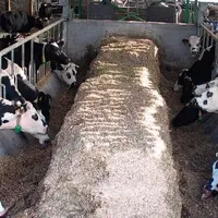 Dans l’essai, la fréquentation
des cornadis a été importante,
sans saturer la place.