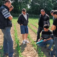 LES EXPLOITANTS PRATIQUENT DES
COMPTAGES D’ADVENTICES autour du rang
à l’aide d’un cadre en bois. Les grilles
d’évaluation indiquent si la densité