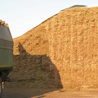 Les pertes
sont excessives
quand elles dépassent
10% de matière sèche