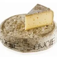 Tomme de Savoie.