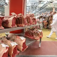 Vente en gros de viande bovine au marché international de Rungis. La distribution représente 15% des emplois induits.