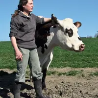 Arriver avec des vaches en forme et toniques au vêlage