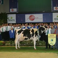 Grande championne et championne jeune : Jennifer au GAEC Cabon (Finistère