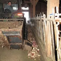 Un godet à betteraves simple et efficace
